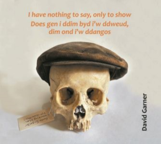 I have nothing to say, only to show.