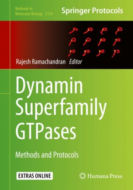 Dynamin Superfamily GTPases