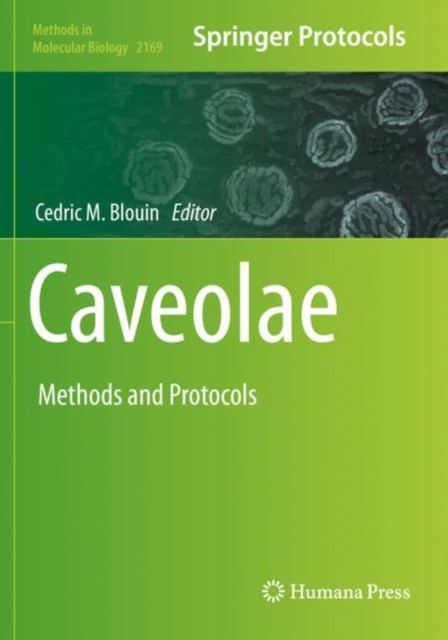 Caveolae
