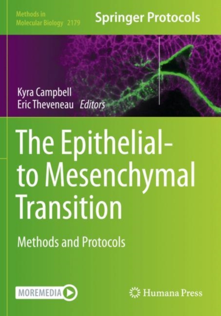 Epithelial-to Mesenchymal Transition