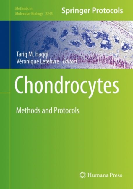 Chondrocytes
