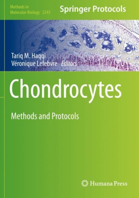 Chondrocytes