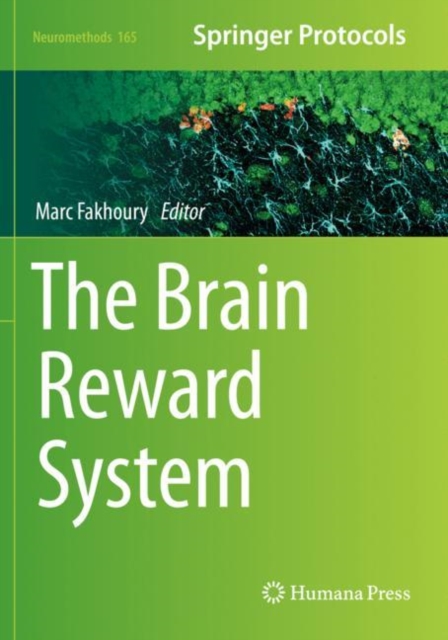 Brain Reward System