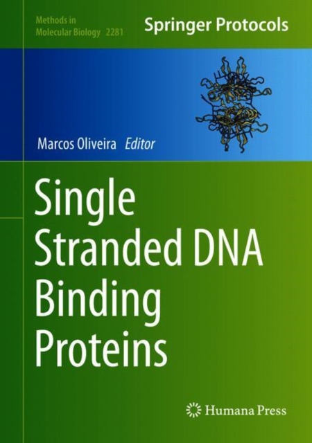 Single Stranded DNA Binding Proteins