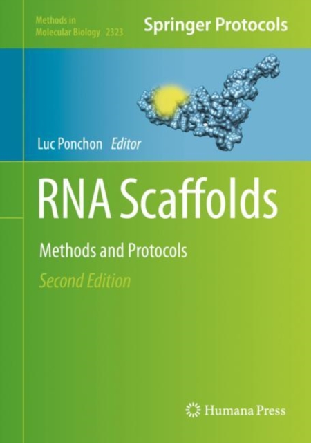 RNA Scaffolds