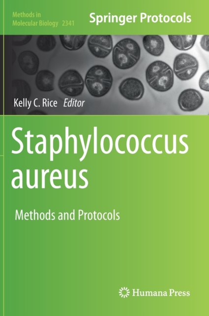 Staphylococcus aureus