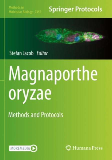 Magnaporthe oryzae