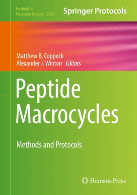 Peptide Macrocycles