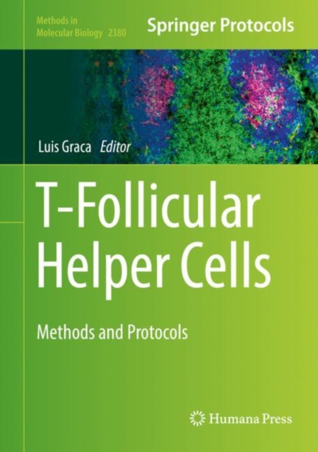 T-Follicular Helper Cells