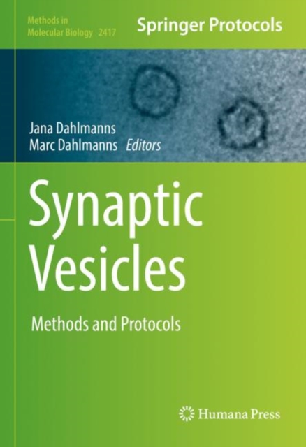 Synaptic Vesicles