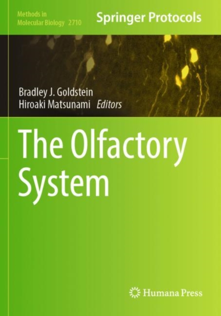 The Olfactory System