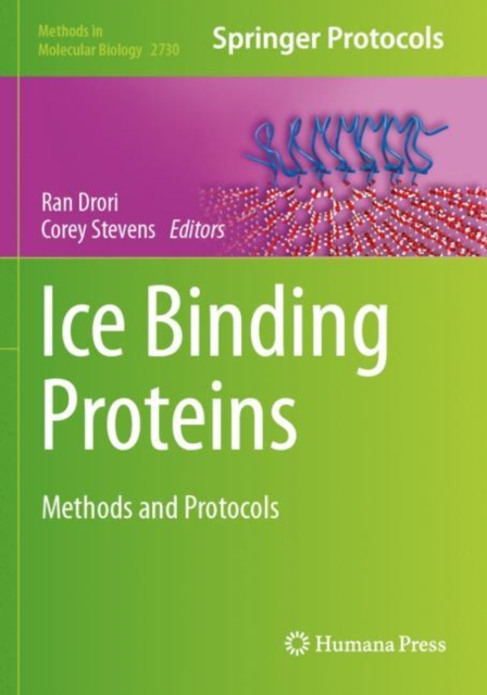 Ice Binding Proteins