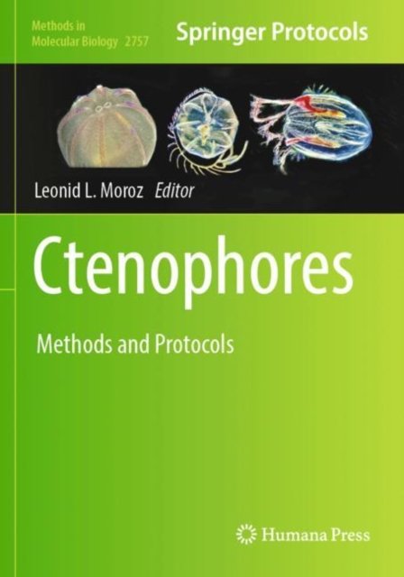 Ctenophores