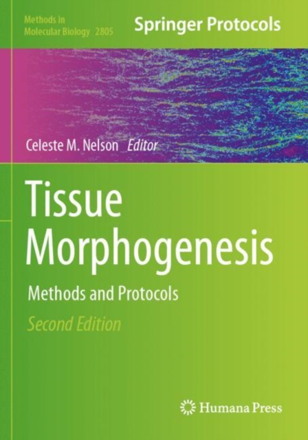 Tissue Morphogenesis