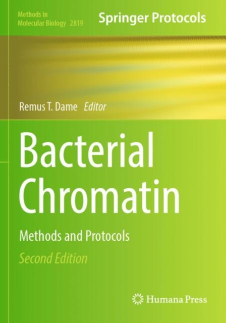 Bacterial Chromatin