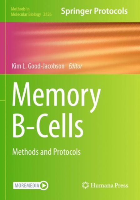 Memory B-Cells