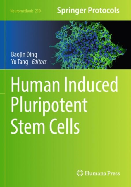 Human Induced Pluripotent Stem Cells