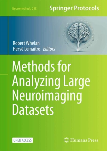 Methods for Analyzing Large Neuroimaging Datasets