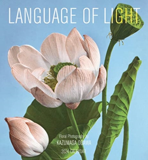 Language of Light