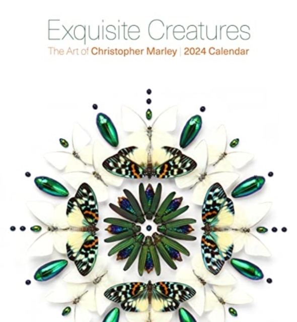 Exquisite Creatures