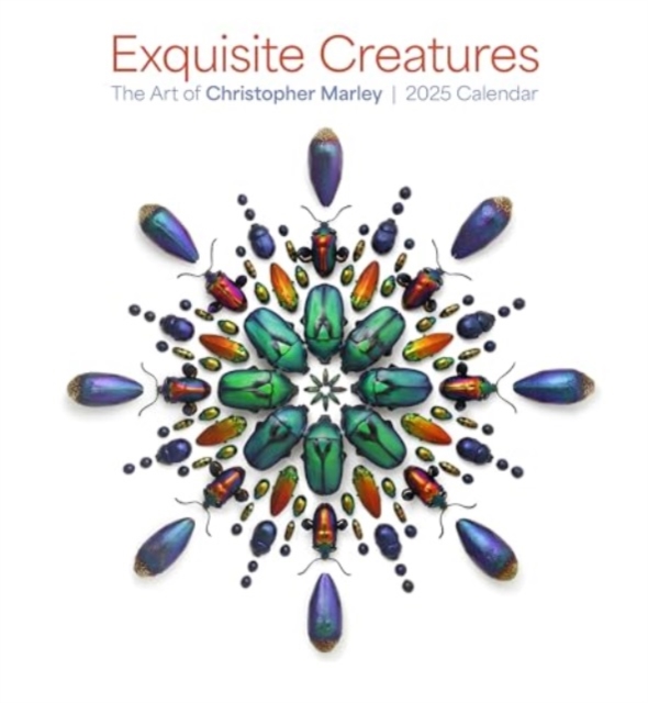 Exquisite Creatures