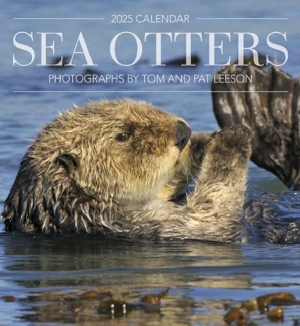 Sea Otters