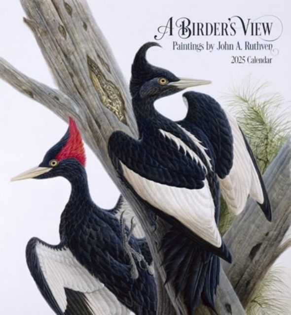 Birder's View