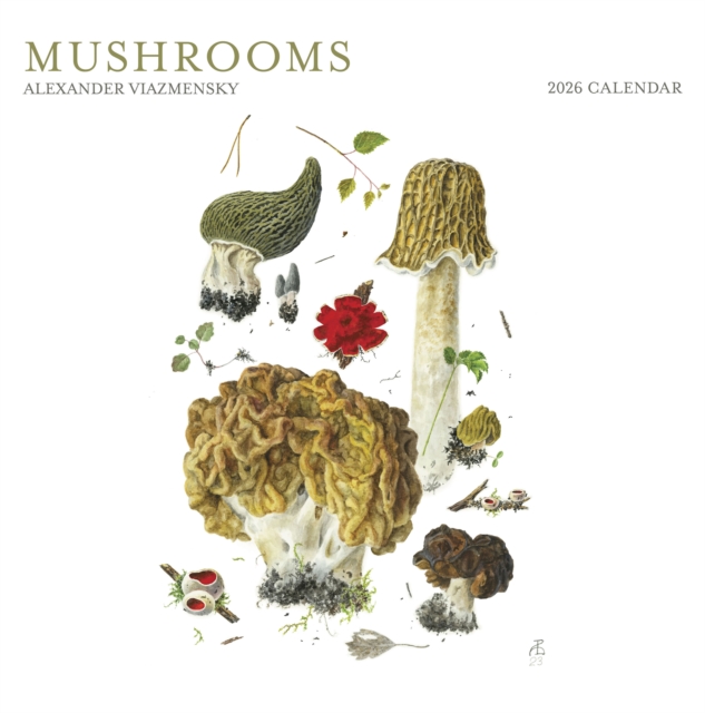Mushrooms: Alexander Viazmensky 2026 Wall Calendar
