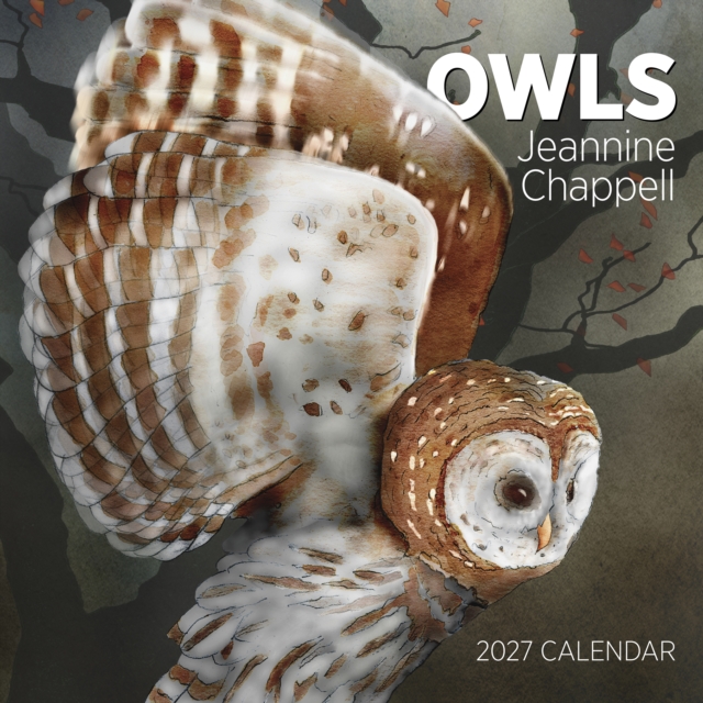 Owls: Jeannine Chappell 2027 Wall Calendar