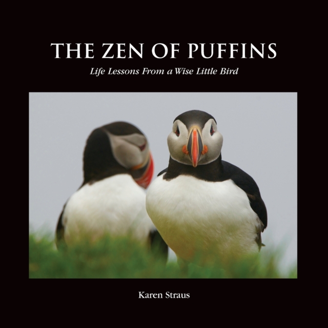 Zen of Puffins, Life Lessons From a Wise Little Bird