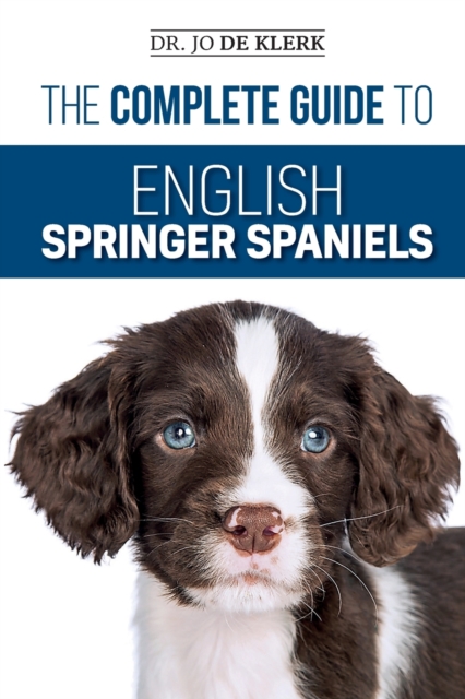 Complete Guide to English Springer Spaniels
