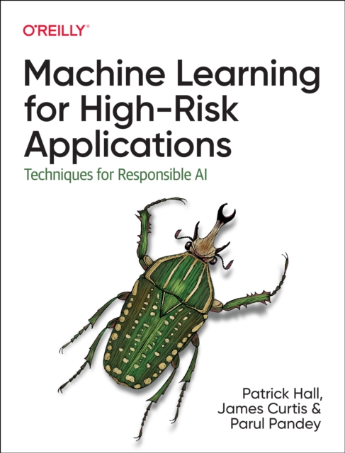 Machine Learning for High-Risk Applications