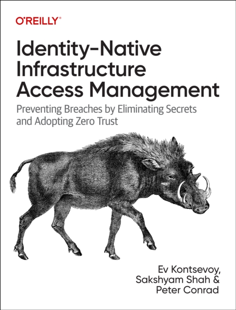 Identity-Native Infrastructure Access Management