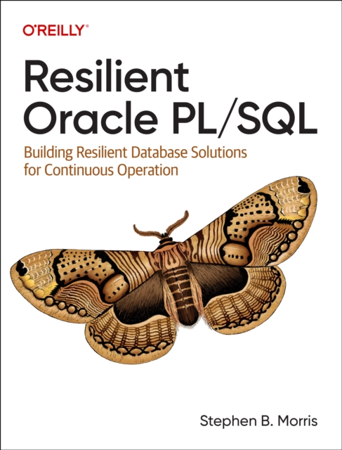 Resilient Oracle Pl/SQL
