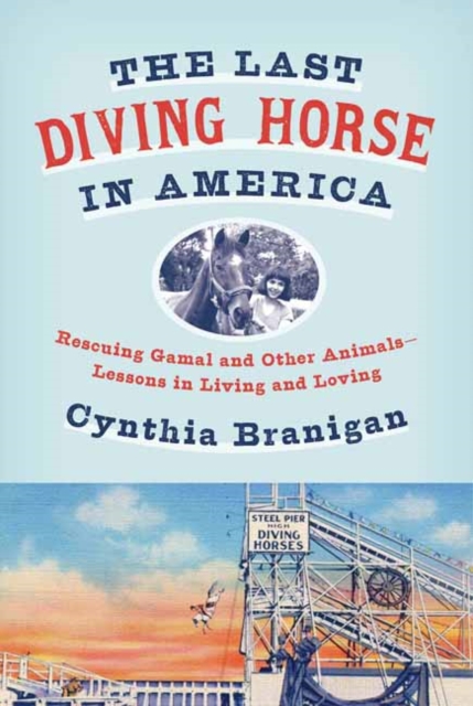 Last Diving Horse in America