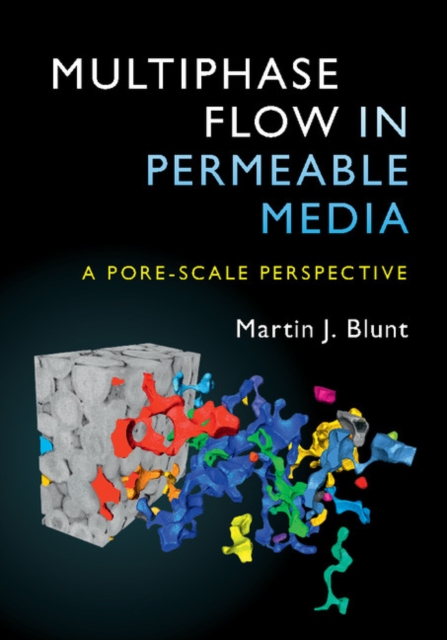 Multiphase Flow in Permeable Media