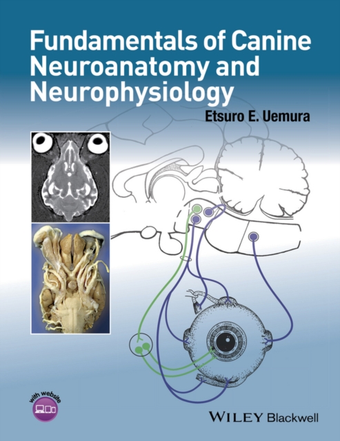 Fundamentals of Canine Neuroanatomy and Neurophysiology