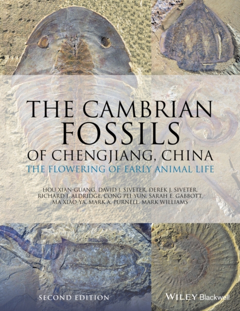 Cambrian Fossils of Chengjiang, China