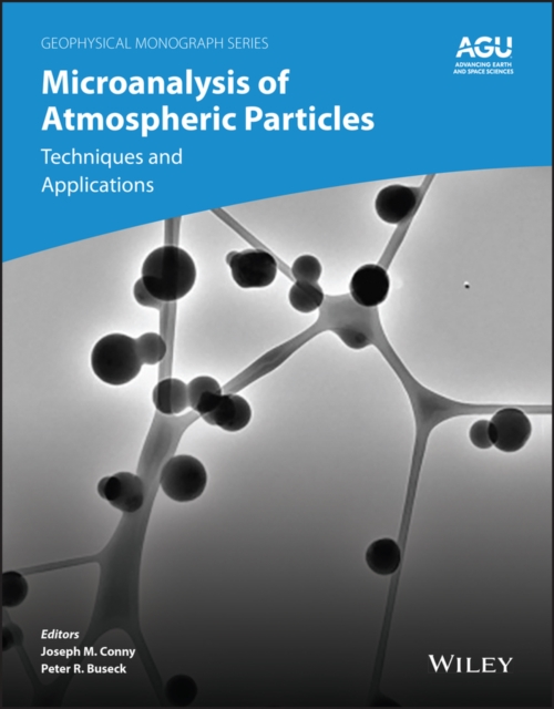 Microanalysis of Atmospheric Particles