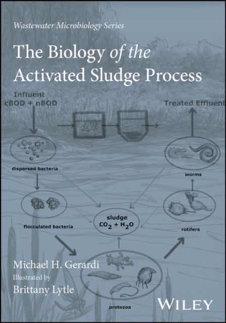 The Biology of the Activated Sludge Process