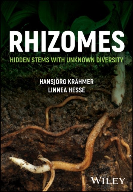 Rhizomes