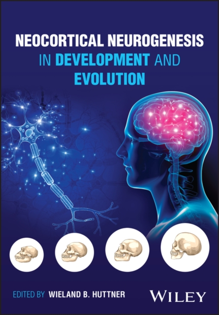 Neocortical Neurogenesis in Development and Evolution