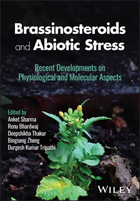 Brassinosteroids and Abiotic Stress