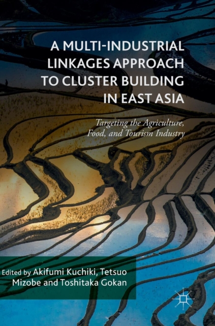 Multi-Industrial Linkages Approach to Cluster Building in East Asia