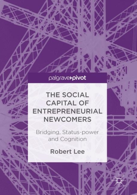 Social Capital of Entrepreneurial Newcomers