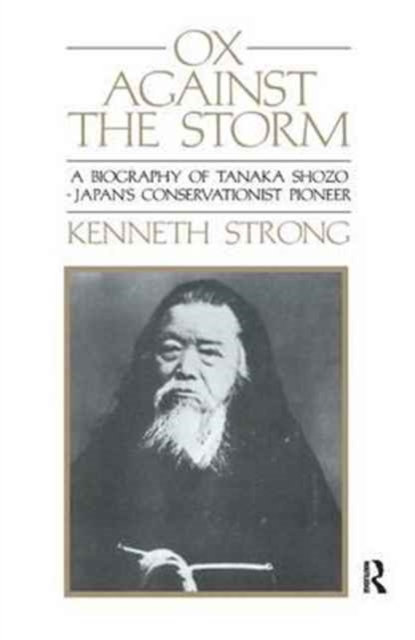 Ox Against the Storm