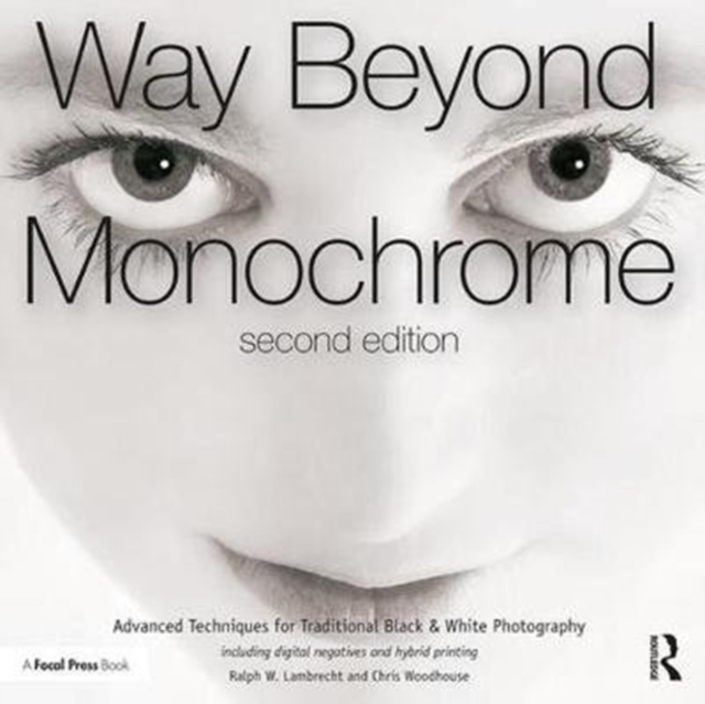 Way Beyond Monochrome 2e