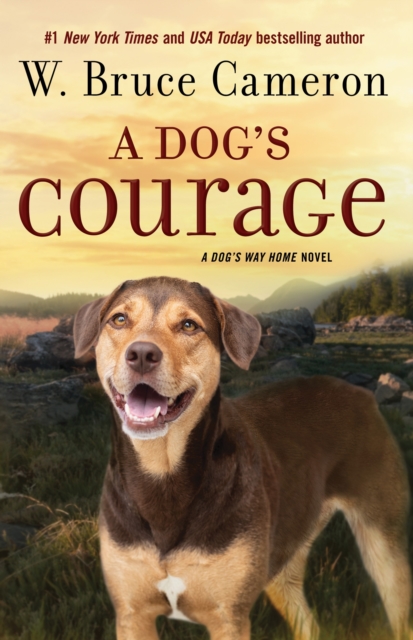 Dog's Courage