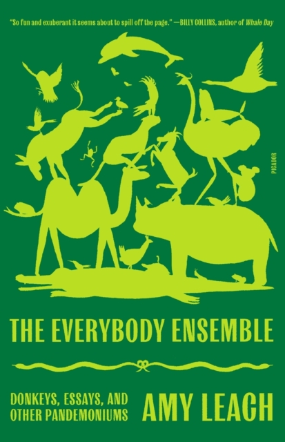 Everybody Ensemble