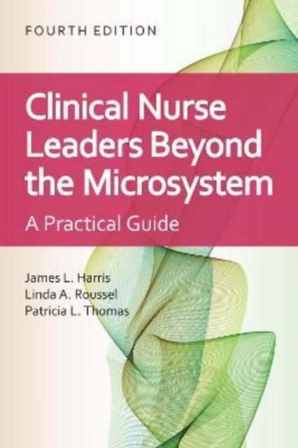 Clinical Nurse Leaders Beyond the Microsystem